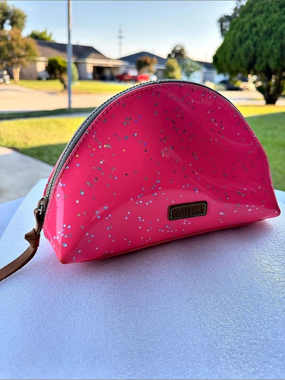 Consuela Large Cosmetic Bag in Shine Pink & Black